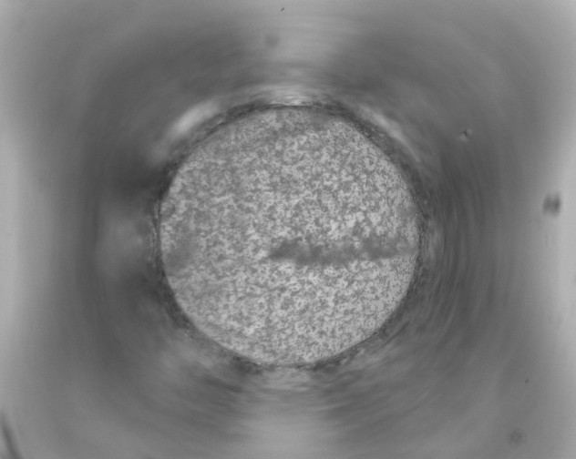 X0000093141446200710241333