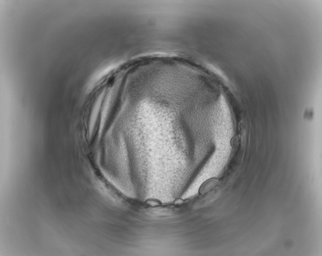 X0000093141448200710241333