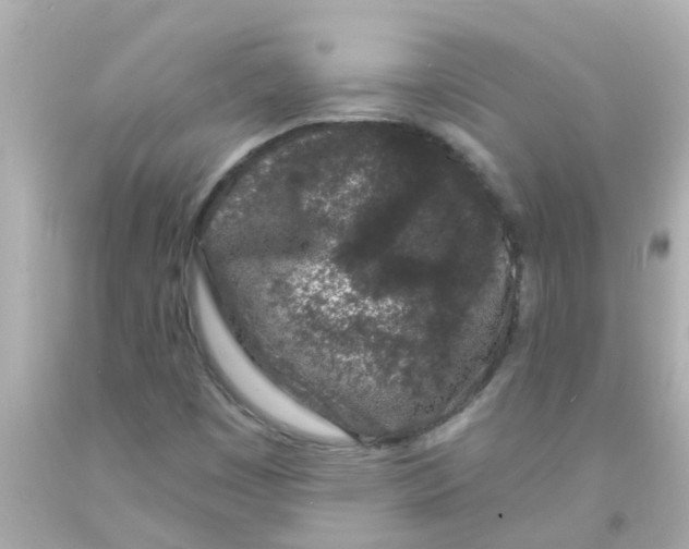 X0000093141449200710241333