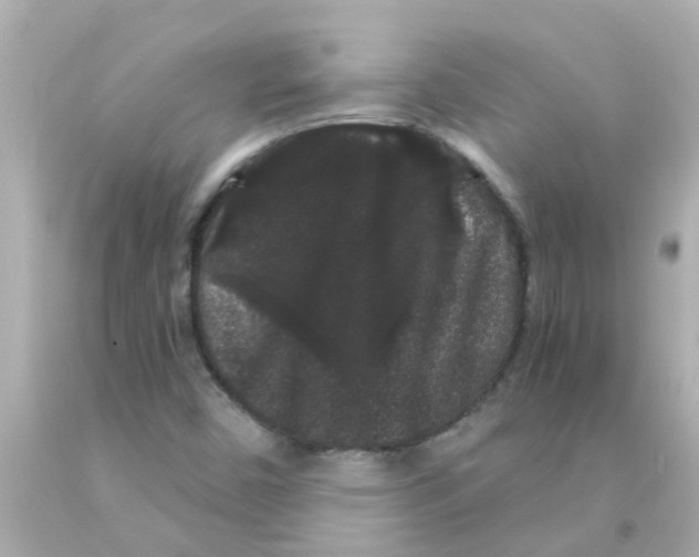 X0000093141450200710241333