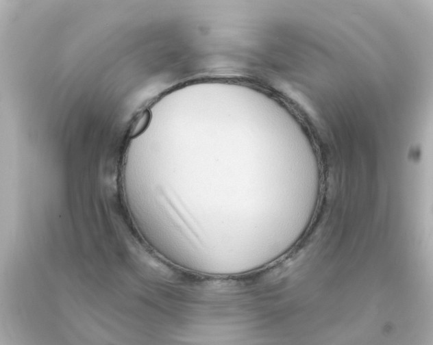 X0000093141451200710241333