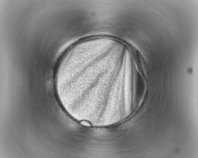 X0000093141452200710241333