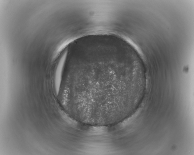 X0000093141453200710241333