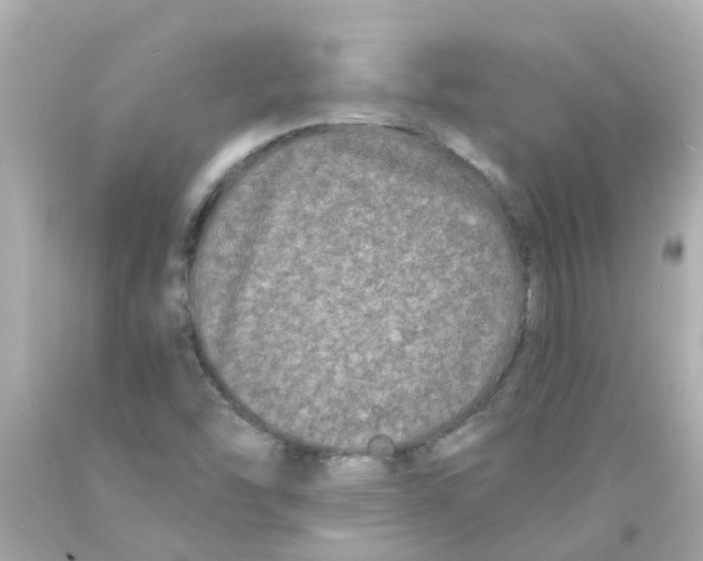 X0000093141454200710241333