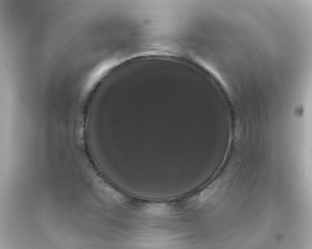 X0000093141455200710241333