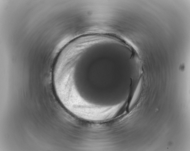 X0000093141459200710241333