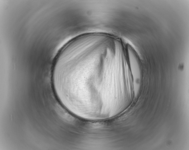 X0000093141460200710241333