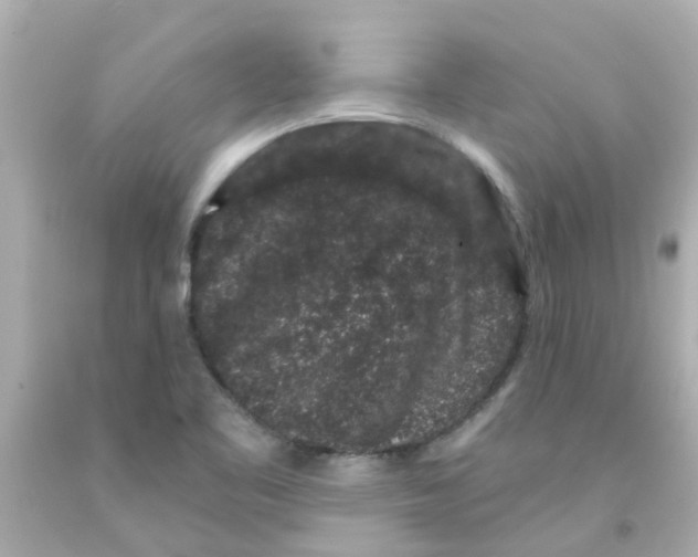 X0000093141461200710241333