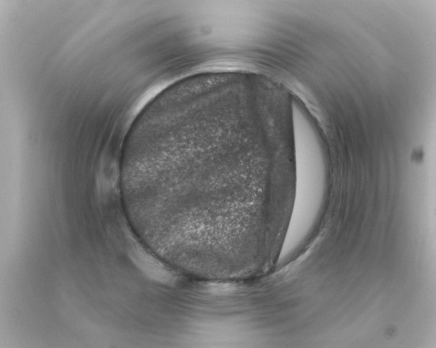 X0000093141465200710241333