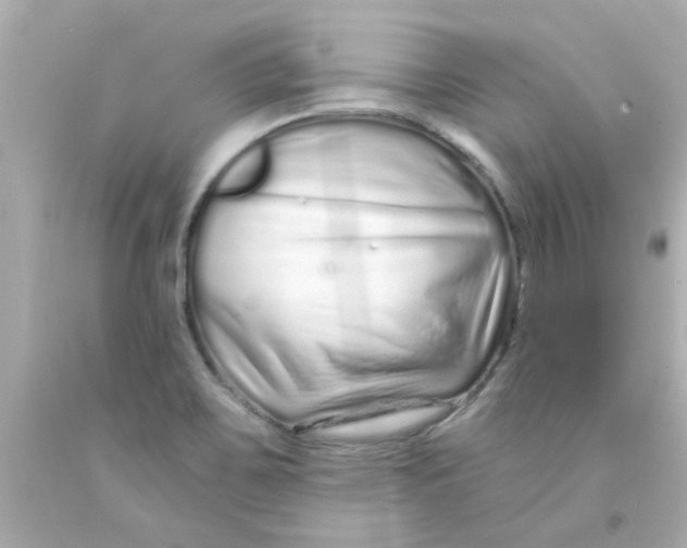 X0000093141467200710241333