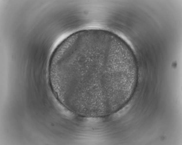 X0000093141469200710241333