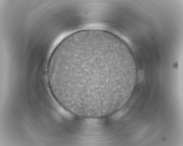 X0000093141470200710241333