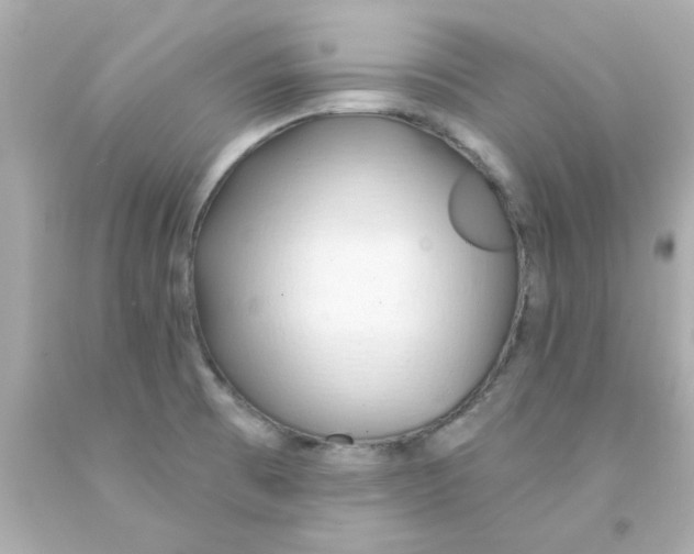 X0000093141473200710241333