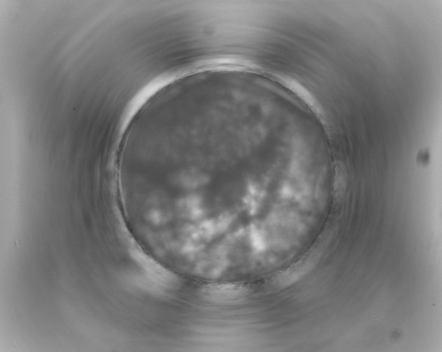 X0000093141474200710241333