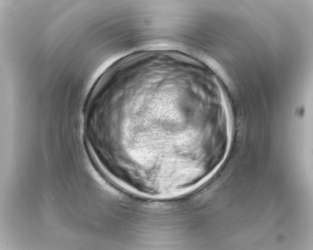 X0000093141476200710241333