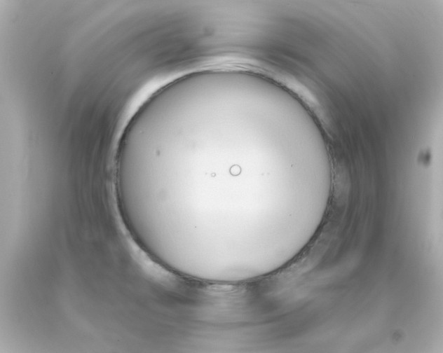 X0000093141478200710241332