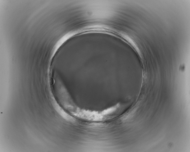 X0000093141482200710241332