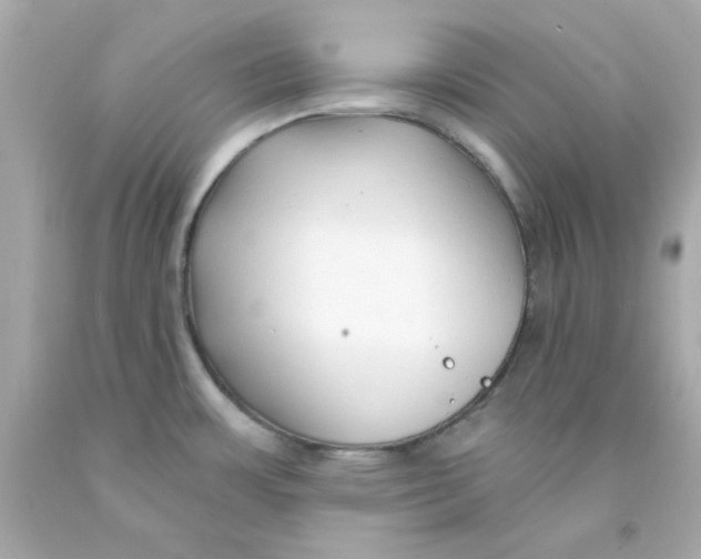 X0000093141483200710241332