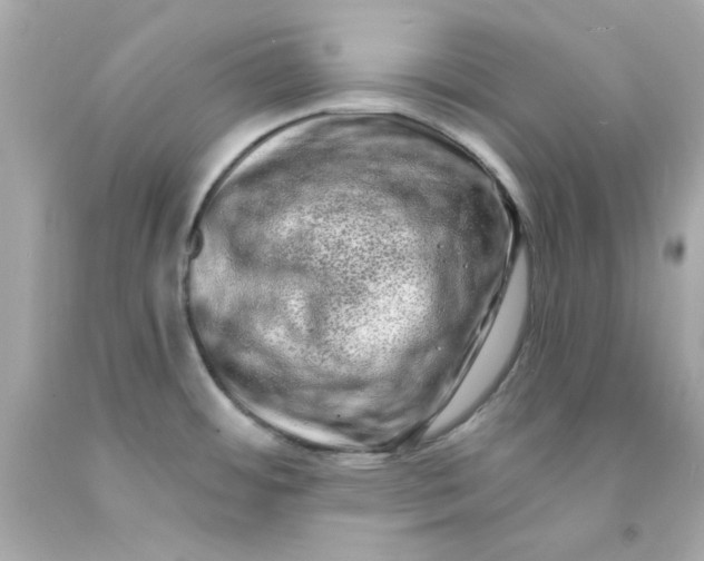 X0000093141484200710241332