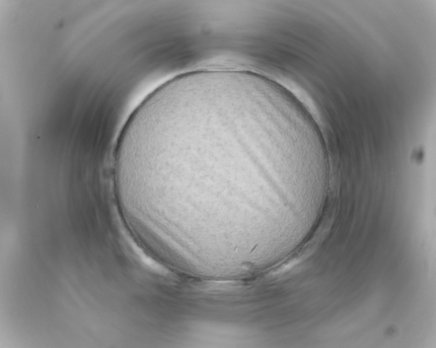 X0000093141486200710241332