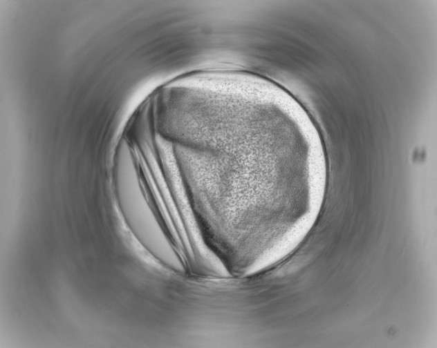 X0000093141488200710241332