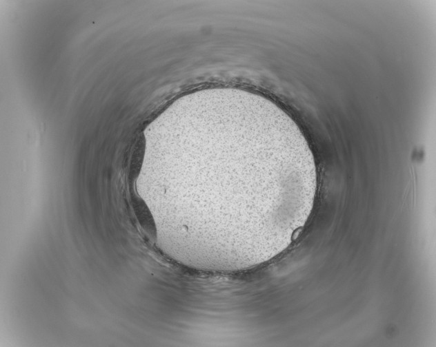 X0000093141489200710241332