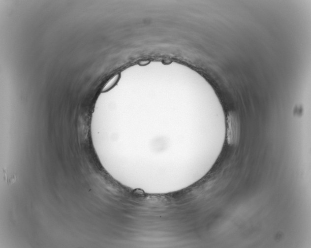 X0000093141491200710241332