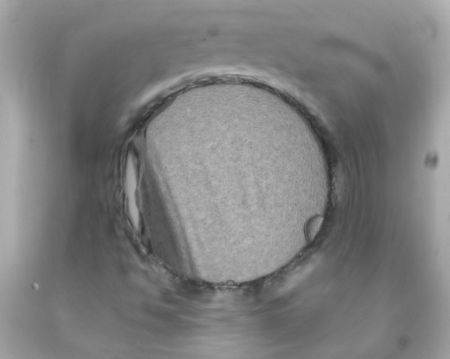 X0000093141494200710241332