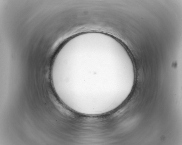 X0000093141499200710241332