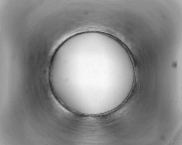 X0000093141500200710241332