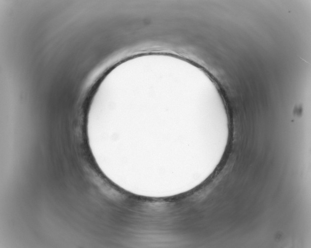 X0000093141502200710241332