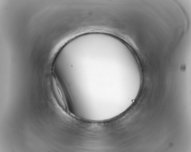 X0000093141504200710241332