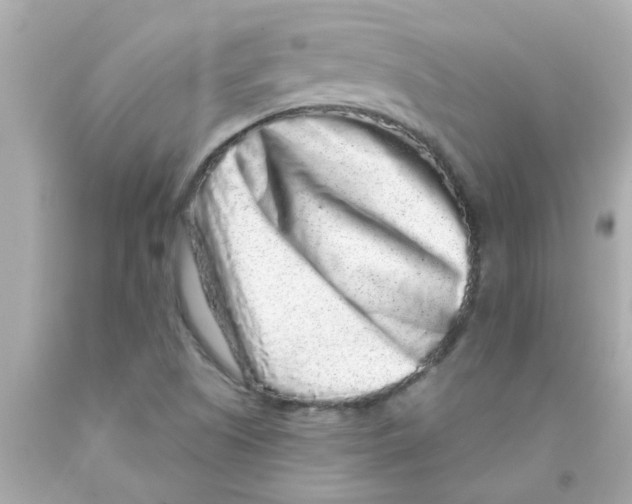 X0000093141505200710241332