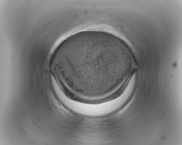 X0000093141506200710241332