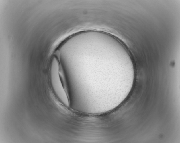 X0000093141507200710241332