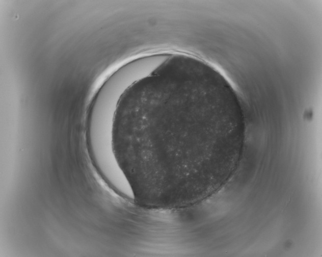 X0000093141508200710241332