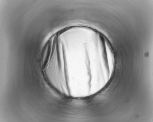 X0000093141509200710241332