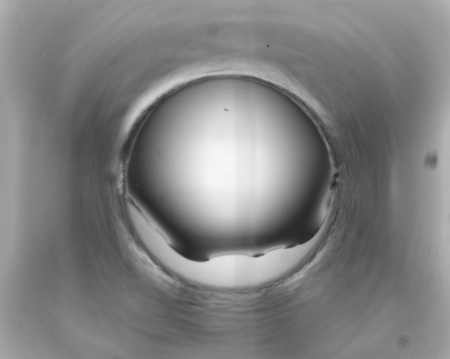 X0000093141510200710241332