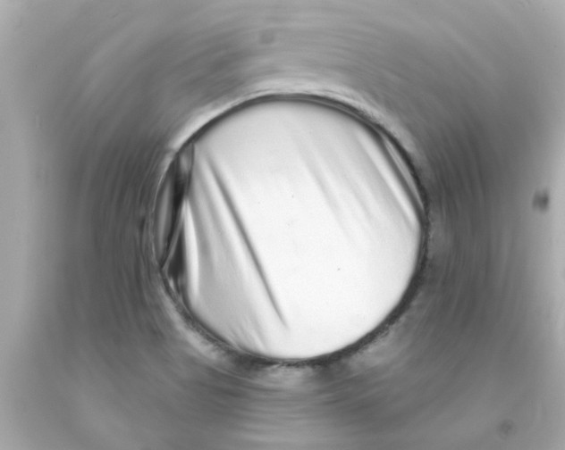 X0000093141513200710241332