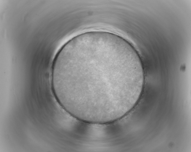 X0000093141514200710241332