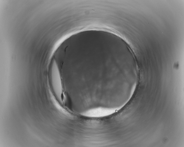 X0000093141515200710241332