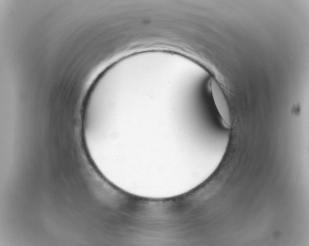 X0000093141518200710241332