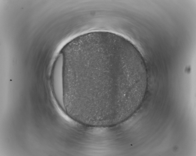 X0000093141519200710241332