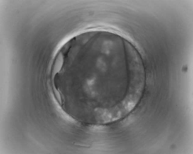 X0000093141522200710241332