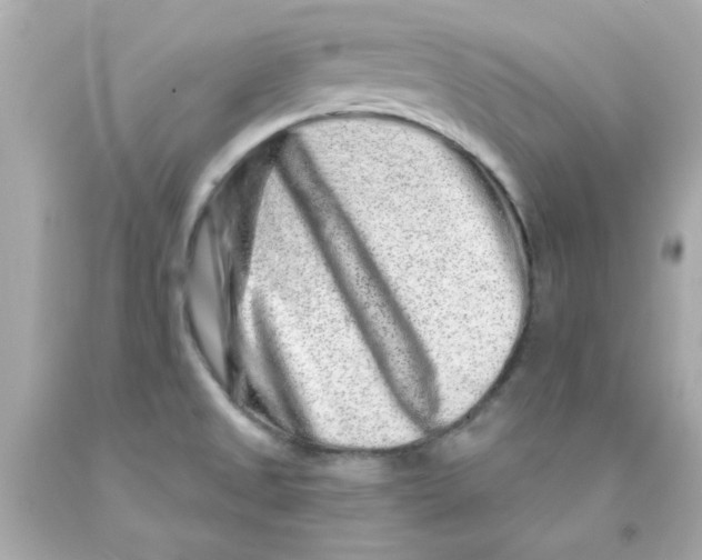 X0000093141525200710241332