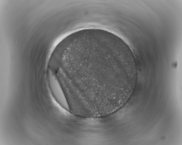 X0000093141527200710241332