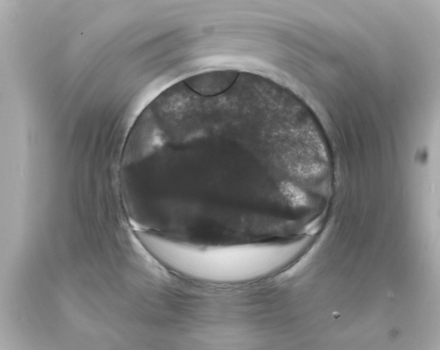 X0000093141529200710241332