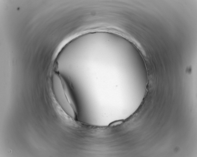 X0000093141530200710241332