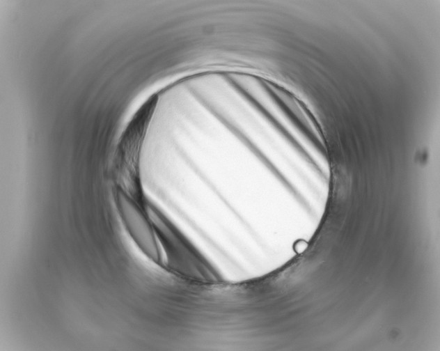 X0000093141531200710241332