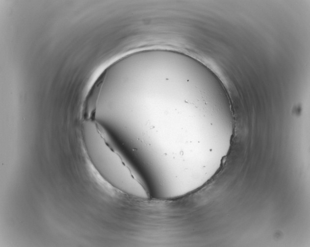 X0000093141532200710241332